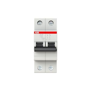 INTERRUPTOR TERMOMAGNETICO RIEL-DIN 2X16A SH202-C16 10/6KA 230/400VAC CURVA C