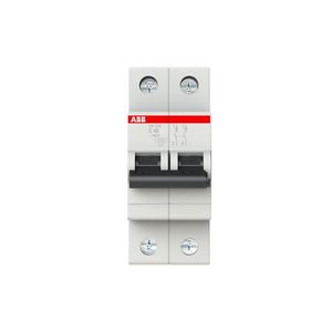 INTERRUPTOR TERMOMAGNETICO RIEL-DIN 2X40A SH202-C40 10/6KA 230/400VAC CURVA C