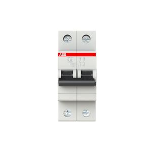 INTERRUPTOR TERMOMAGNETICO RIEL-DIN 2X32A SH202-C32 10/6KA 230/400VAC CURVA C