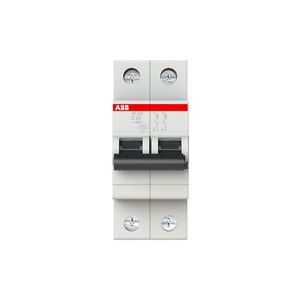 INTERRUPTOR TERMOMAGNETICO RIEL-DIN 2X20A SH202-C20 10/6KA 230/400VAC CURVA C