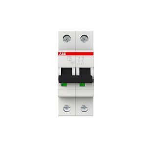 INTERRUPTOR TERMOMAGNETICO RIEL-DIN 2X25A S202-C25 20/10KA 230/400VAC CURVA C