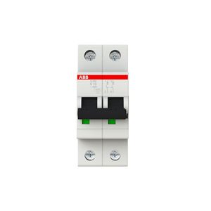 INTERRUPTOR TERMOMAGNETICO RIEL-DIN 2X10A S202-C10 20/10KA 230/400VAC CURVA C
